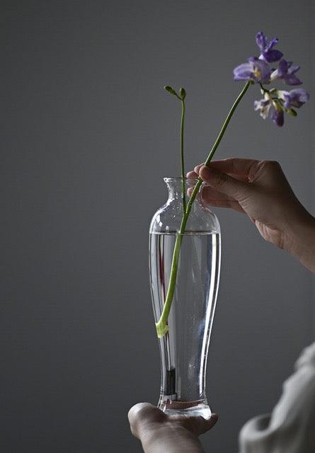 glass hydroponic plant vases Japanese Handmade Hydroponic Plant Transparent Glass Vase – Moku Park