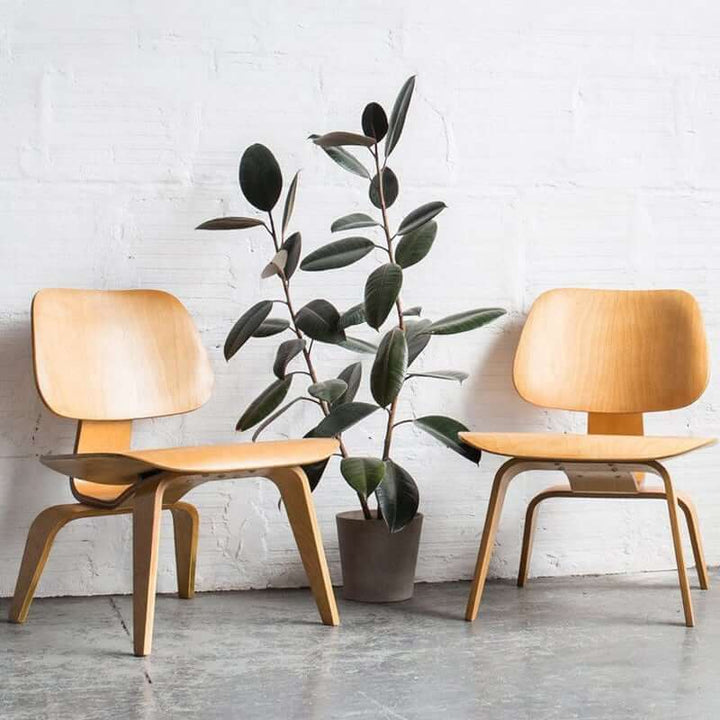 MP LCW - Classic Lounge Chair | Reading Chair
