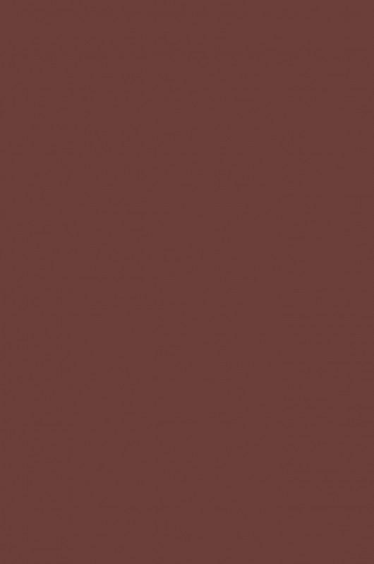 Burnt Umber-687 - mokupark.com