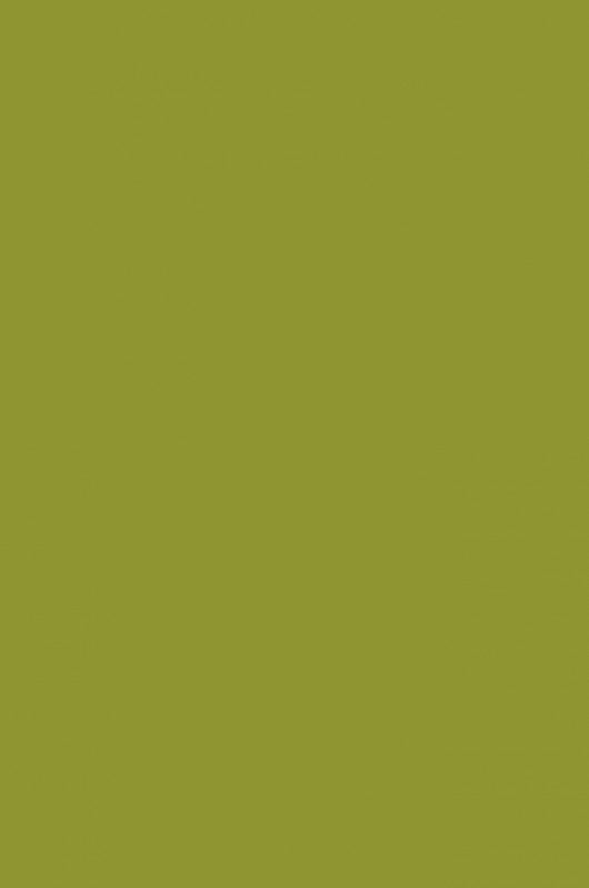 Cinnabar Green Light-526 - mokupark.com