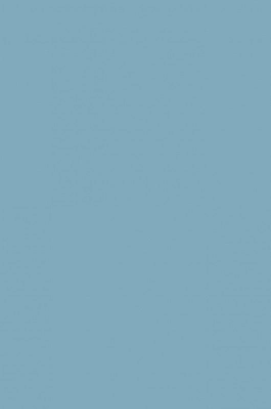 Grey Pale-786 - mokupark.com