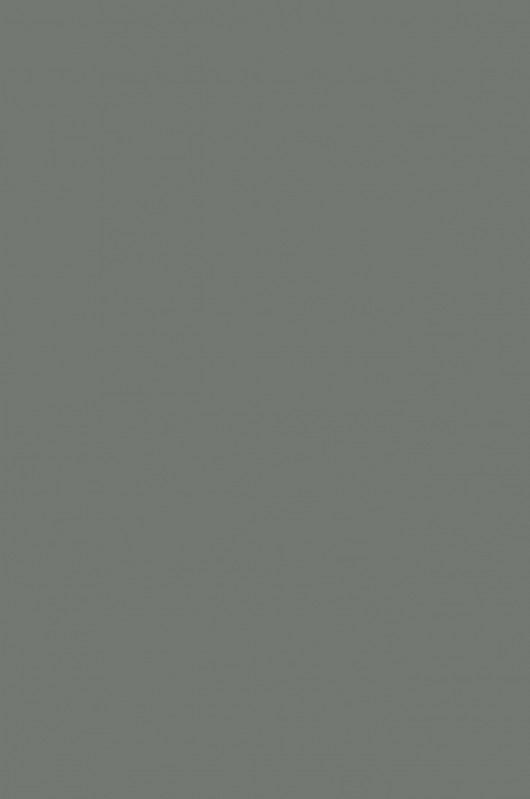 Warm Grey-796 - Moku Park