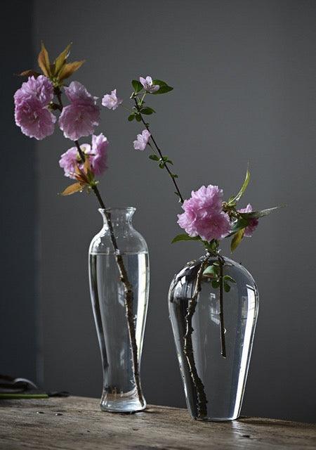 Japanese Handmade Hydroponic Plant Transparent Glass Vase - mokupark.com