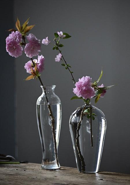 hydroponic plant vase Japanese Handmade Hydroponic Plant Transparent Glass Vase – Moku Park