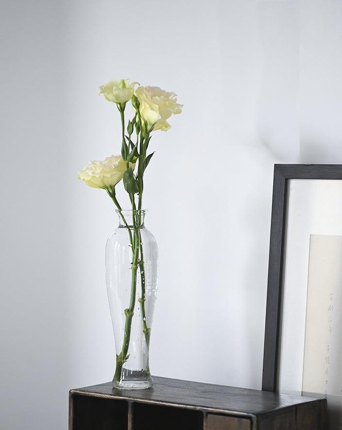 Japanese Handmade Hydroponic Plant Transparent Glass Vase - mokupark.com