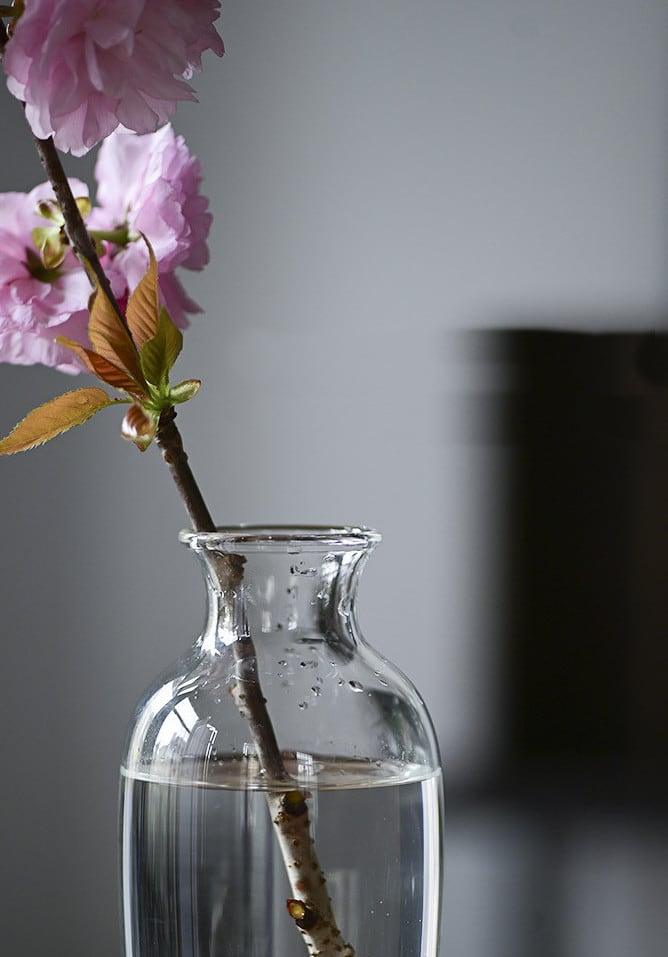 hydroponic plant vase Japanese Handmade Hydroponic Plant Transparent Glass Vase – Moku Park