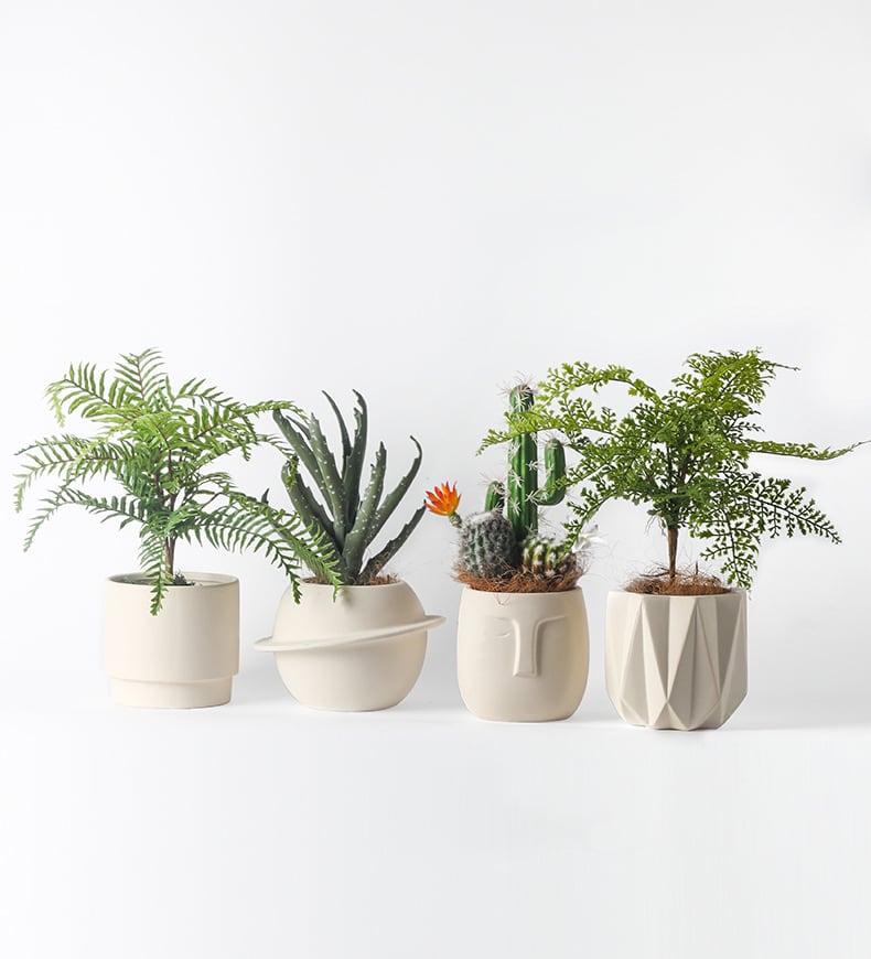 beige plant pots Pandora Set of 4 - Handmade Plant Pots Indoor / Outdoor Ceramics Beige | Flower Pots