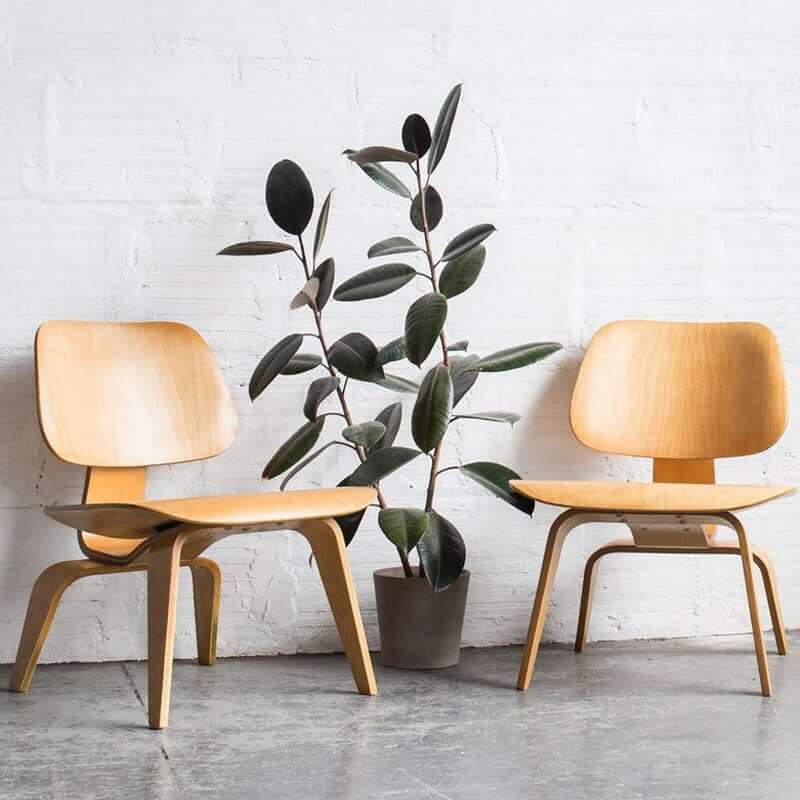 MP LCW - Classic Lounge Chair | Reading Chair