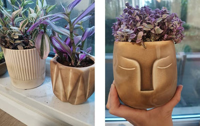 Pandora Set of 6 - Handmade Plant Pots In/Outdoor Beige