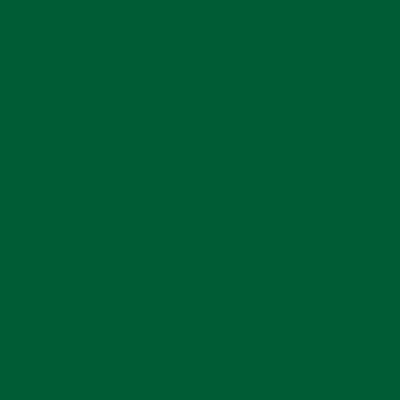 Blackish Green-485 - mokupark.com