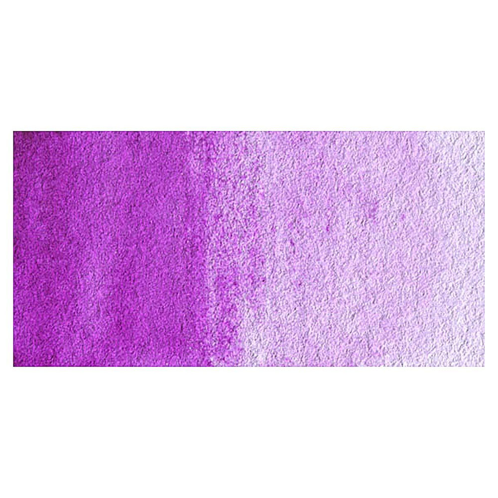 Bright Violet-W375 - mokupark.com