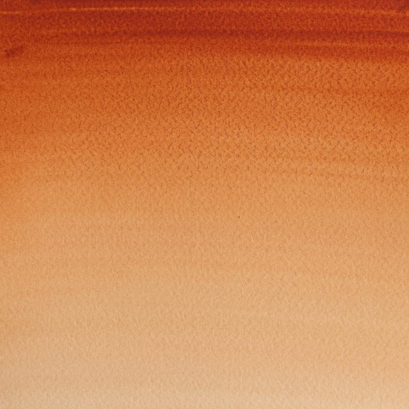 Burnt Sienna-074 - mokupark.com