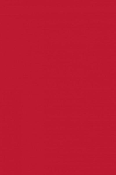 Cadmium Red Medium Hue-328 - mokupark.com
