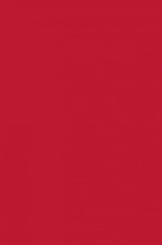 Cadmium Red Medium Hue-328 - mokupark.com