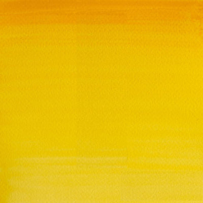 Cadmium Yellow Hue-109 - mokupark.com
