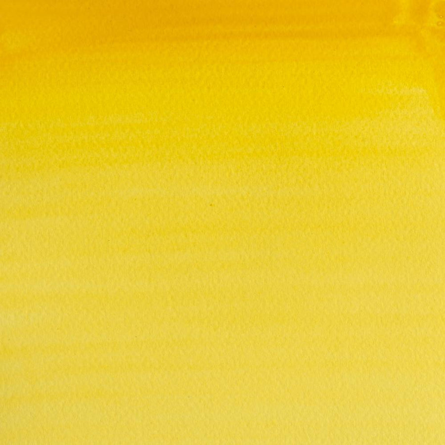 Cadmium Yellow Pale Hue-119 - mokupark.com