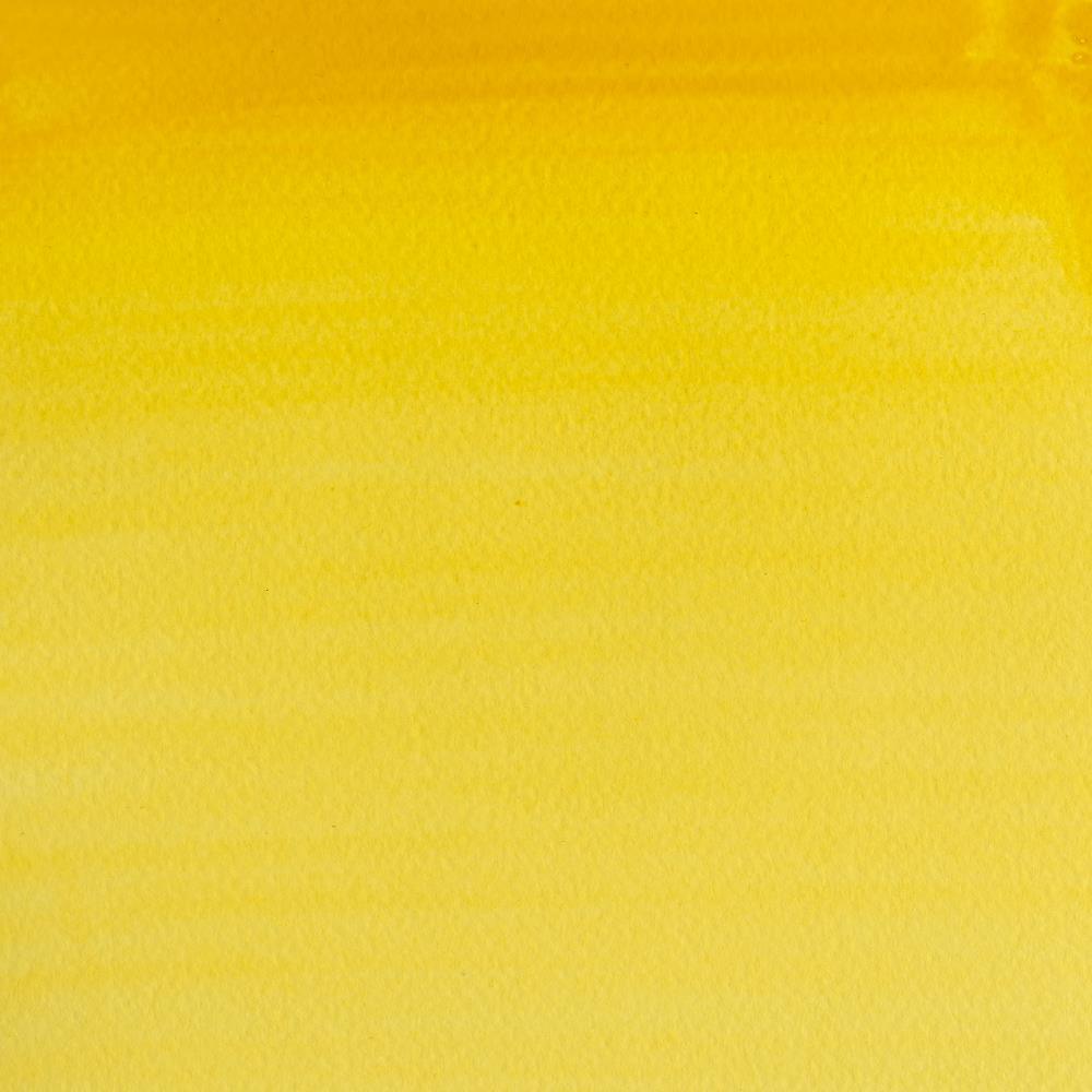 Cadmium Yellow Pale Hue-119 - mokupark.com