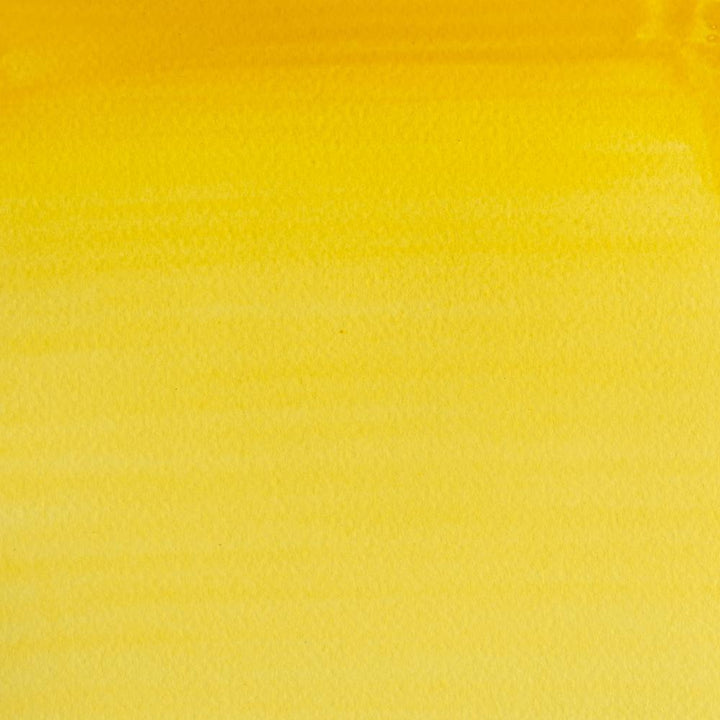 Cadmium Yellow Pale Hue-119 - mokupark.com