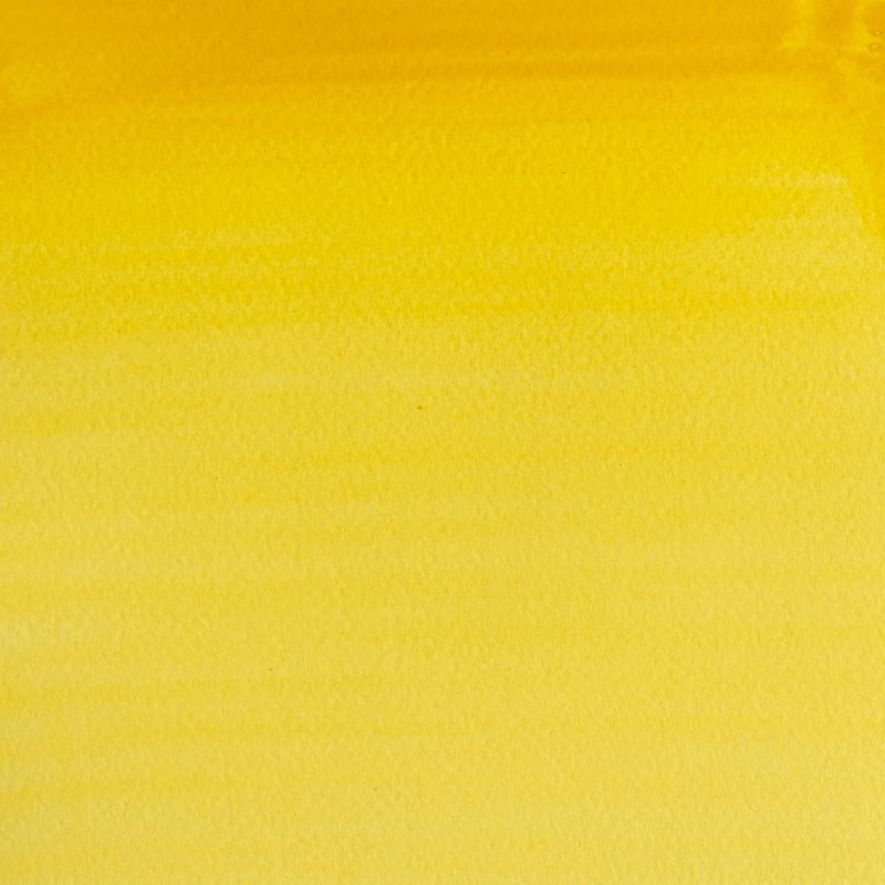 Cadmium Yellow Pale Hue-119 - mokupark.com