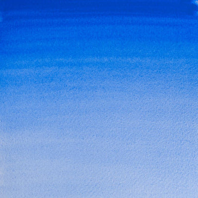 Cobalt Blue Hue-179 - mokupark.com