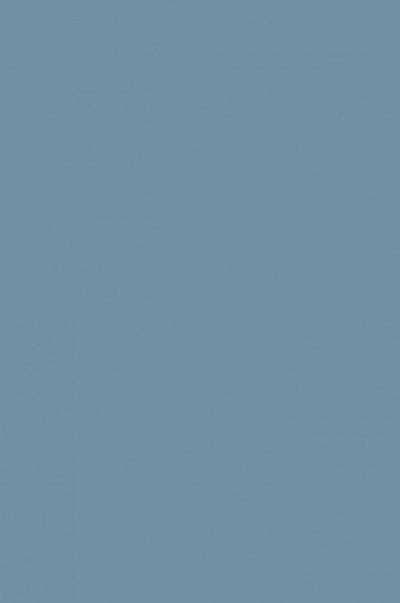 Cold Grey-795 - mokupark.com