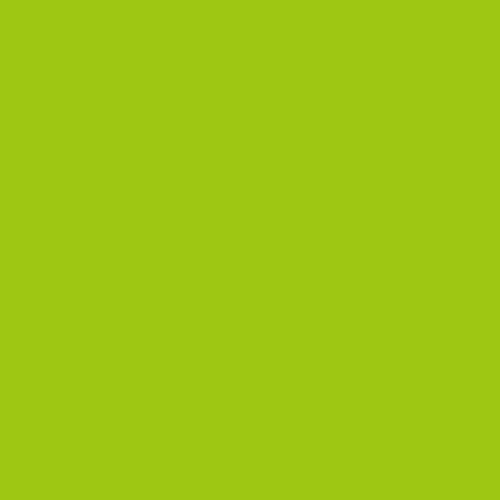 Fluorescent Green-860 - mokupark.com
