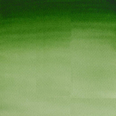 Hooker's Green Light-314 - mokupark.com