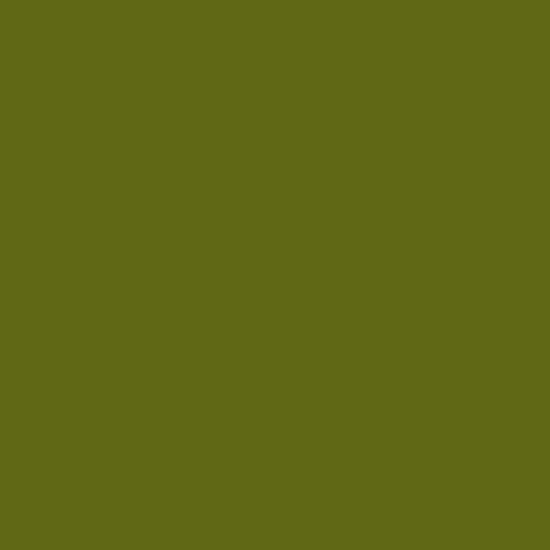 Olive Green-481 - Moku Park