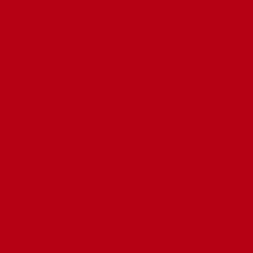 Permanent Red-240 - Moku Park