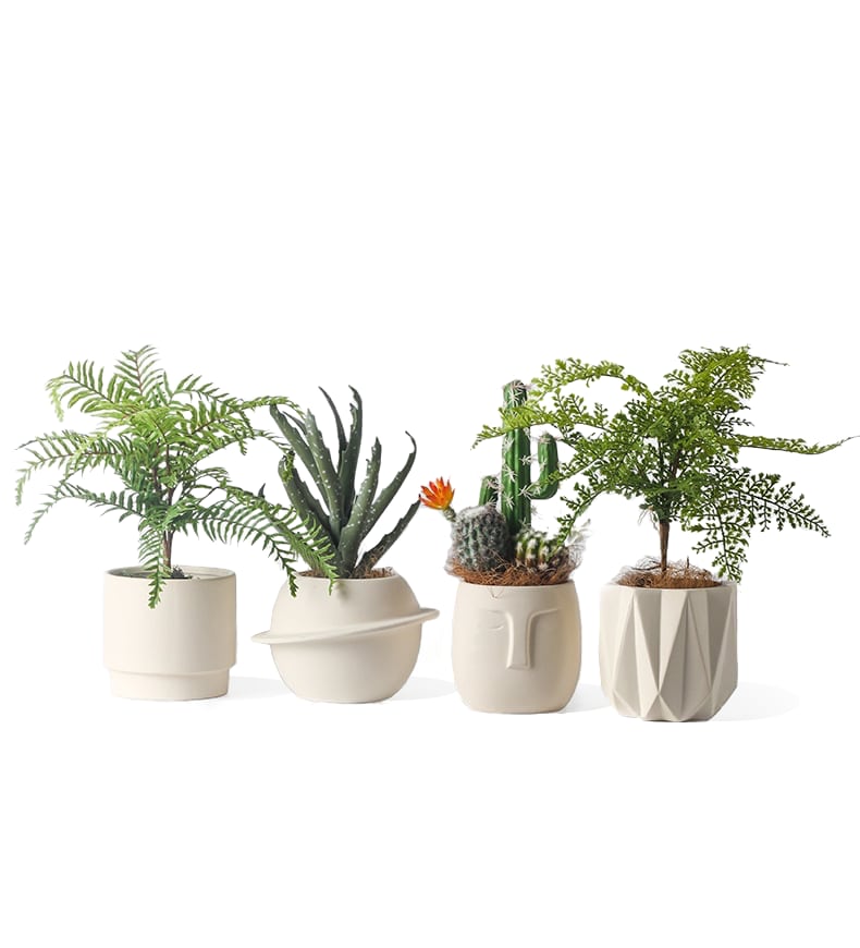Pandora Set of 4 - Handmade Plant Pot In/Outdoor Beige